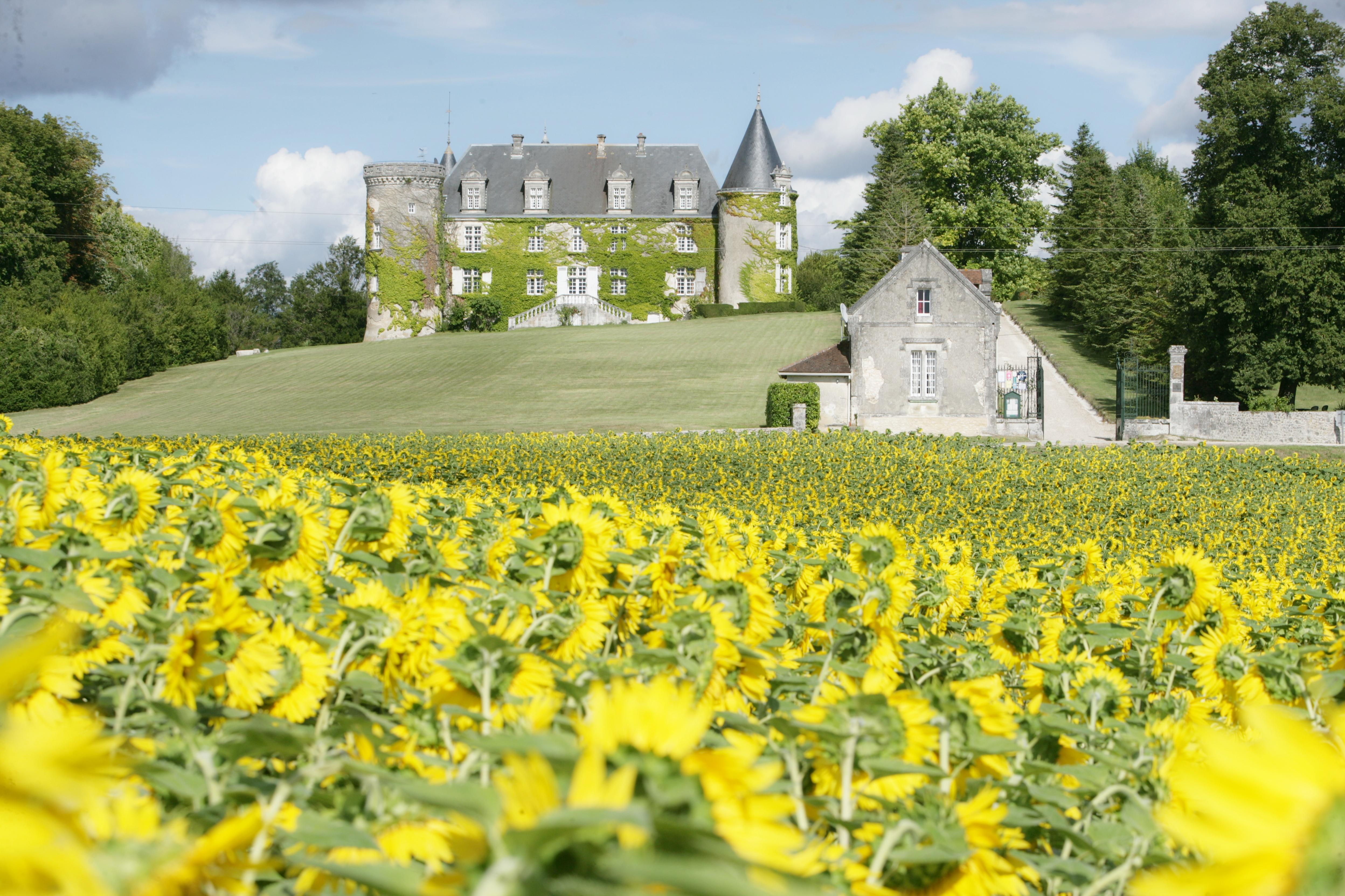 Hotel & Spa Chateau De La Cote - Brantome Biras Εξωτερικό φωτογραφία
