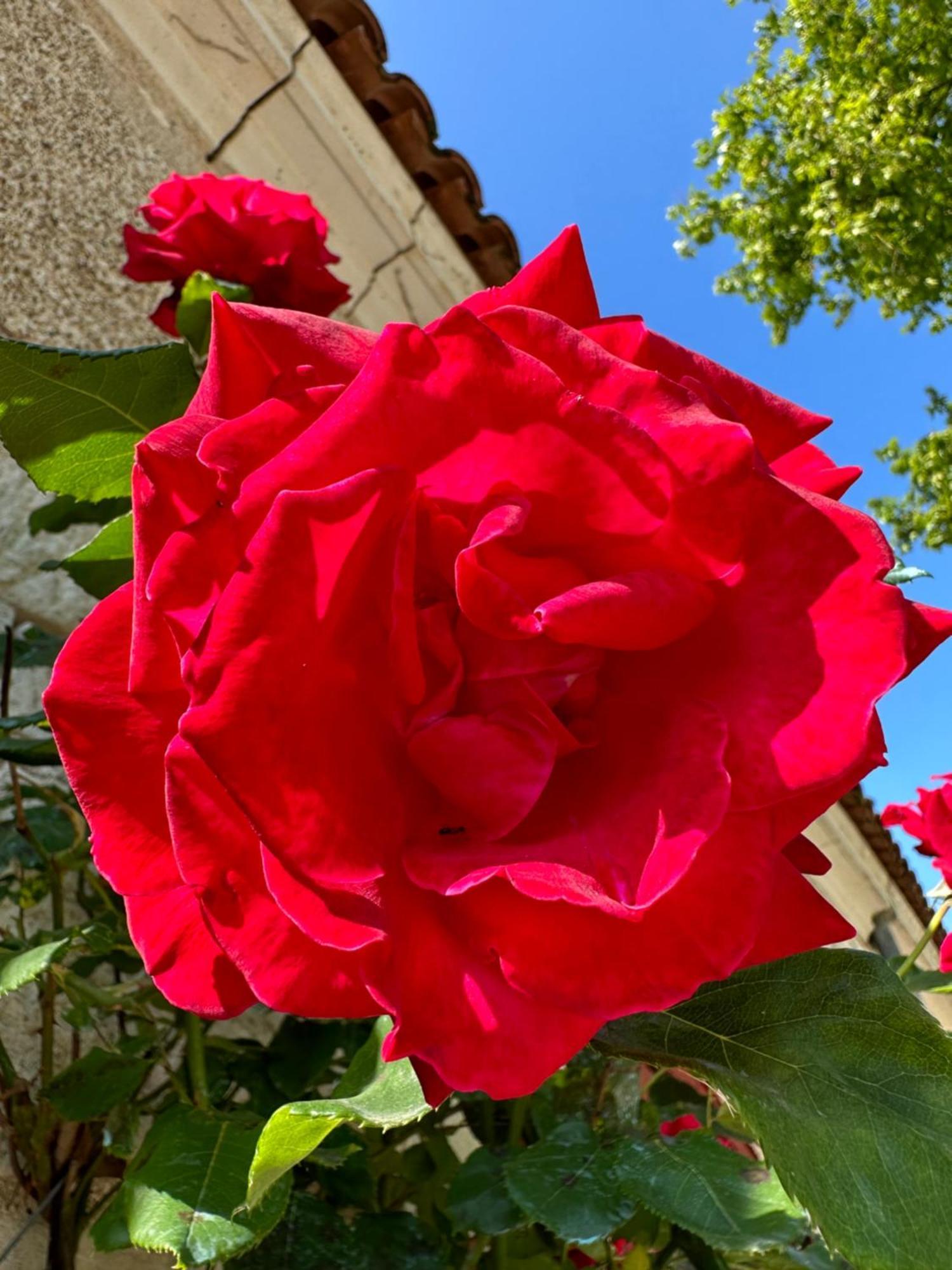 Hotel & Spa Chateau De La Cote - Brantome Biras Εξωτερικό φωτογραφία
