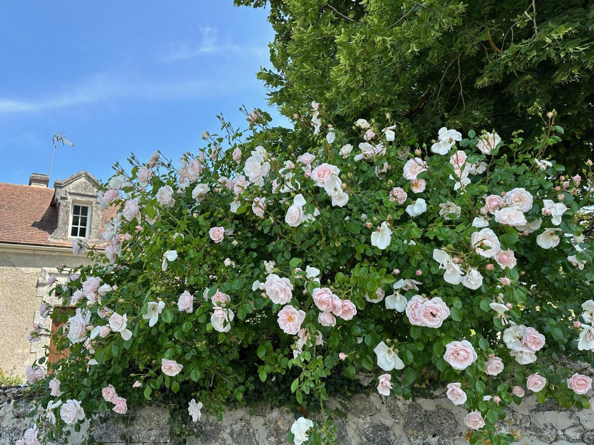 Hotel & Spa Chateau De La Cote - Brantome Biras Εξωτερικό φωτογραφία